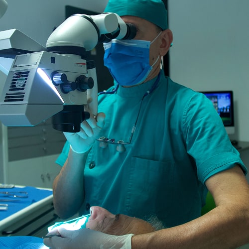 endodonzia e conservativa anteprima